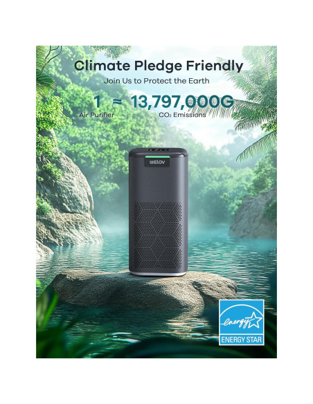 Purificador de Aire Inteligente WELOV P200 Max 146.79 m HEPA