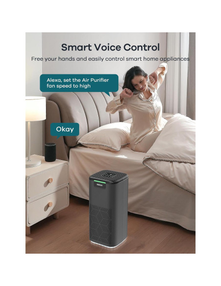 Purificador de Aire Inteligente WELOV P200 Max 146.79 m HEPA