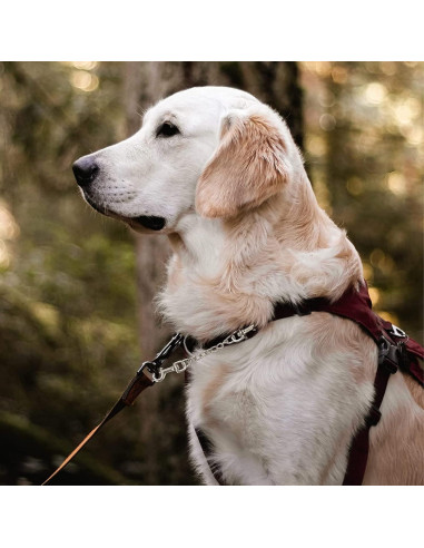 Clip de Seguridad para Collar de Perro DEYACE 20cm Negro