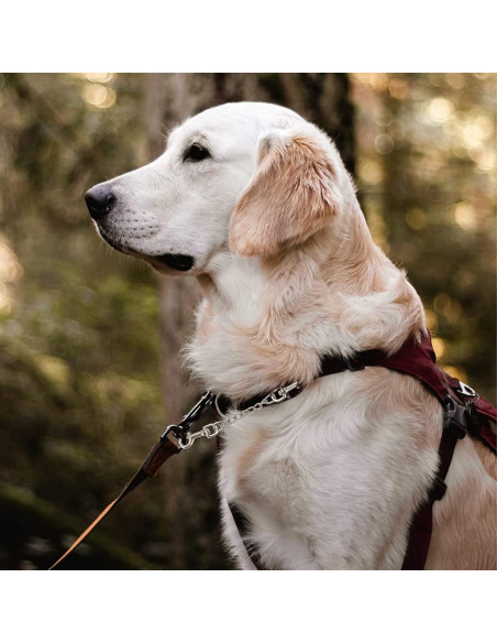 Clip de Seguridad para Collar de Perro DEYACE 20cm Negro