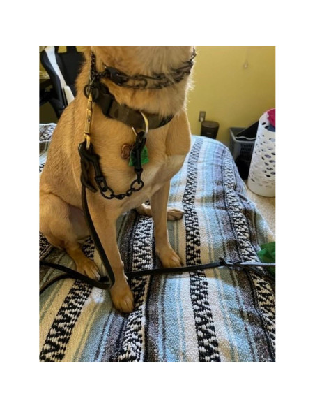 Clip de Seguridad para Collar de Perro DEYACE 20cm Negro