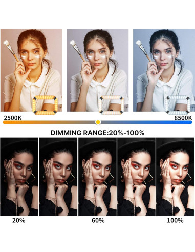 ULANZI Video Rig Smartphone con Luz de Anillo 8500K