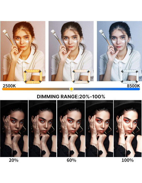 ULANZI Video Rig Smartphone con Luz de Anillo 8500K