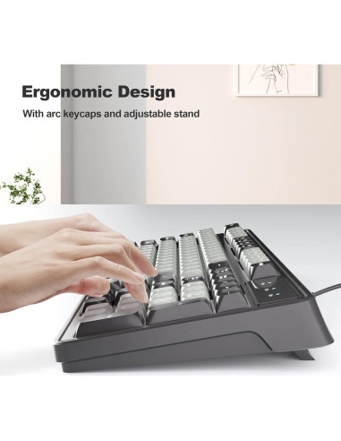 Teclado Gaming Camiysn GK-980 98 Teclas Retroiluminado Silencioso