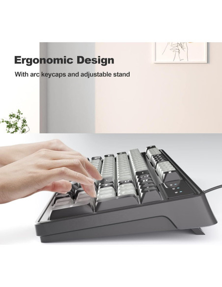 Teclado Gaming Camiysn GK-980 98 Teclas Retroiluminado Silencioso