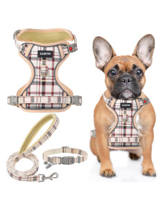 Conjunto Arnés, Collar y Correa GAMUDA para Perros Medianos