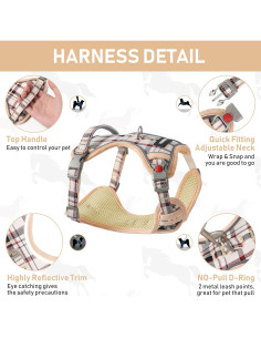 Conjunto Arnés, Collar y Correa GAMUDA para Perros Medianos 2