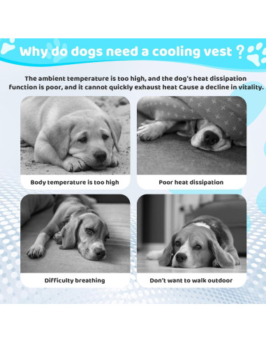 Chaleco Refrigerante para Perros Kikibest L 60-76 cm Ajustable