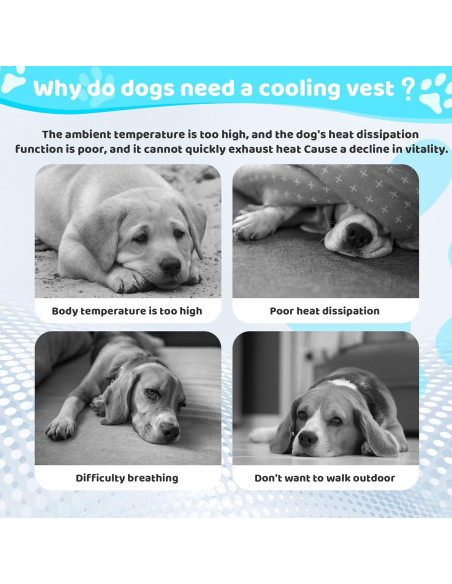 Chaleco Refrigerante para Perros Kikibest L 60-76 cm Ajustable