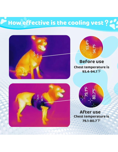 Chaleco Refrigerante para Perros Kikibest L 60-76 cm Ajustable