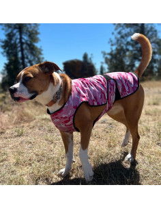 Chaleco Refrigerante para Perros LUCOLOVE Mediano Rosa UPF50+ 2