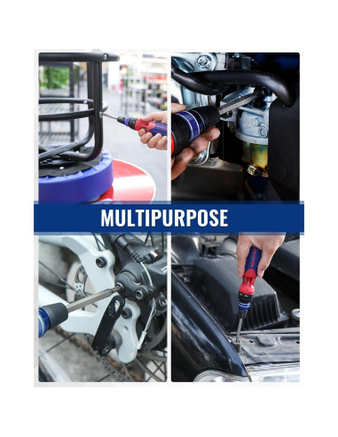 Destornillador Carraca 12-en-1 WORKPRO con Puntas Intercambiables