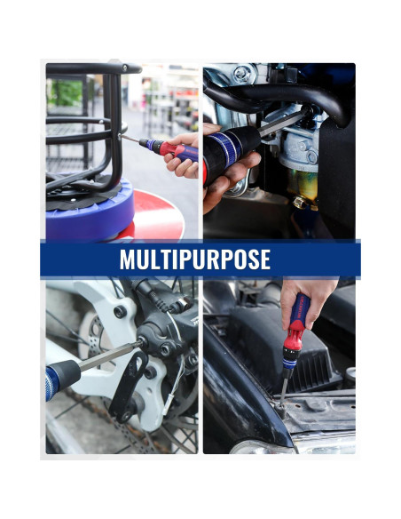 Destornillador Carraca 12-en-1 WORKPRO con Puntas Intercambiables