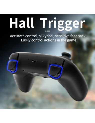 Controlador Inalámbrico Doriteney RG P01 para Switch y PC