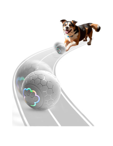 Pelota Interactiva para Perros Morhandisn 5.8 cm Recargable