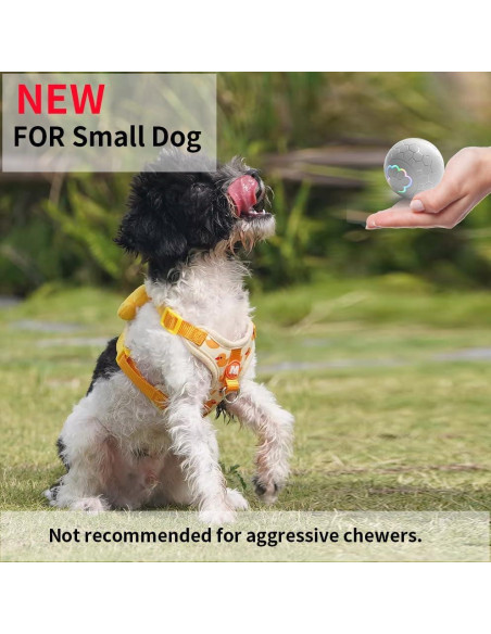 Pelota Interactiva para Perros Morhandisn 5.8 cm Recargable