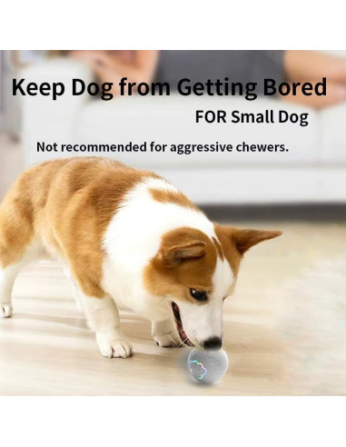 Pelota Interactiva para Perros Morhandisn 5.8 cm Recargable