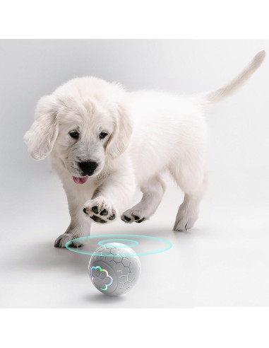 Pelota Interactiva para Perros Morhandisn 5.8 cm Recargable