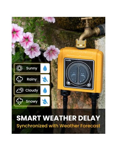 Temporizador de Riego RAINPOINT WiFi 2 Zonas Control Voz
