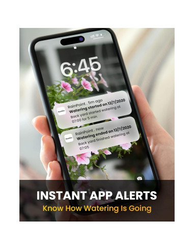 Temporizador de Riego RAINPOINT WiFi 2 Zonas Control Voz