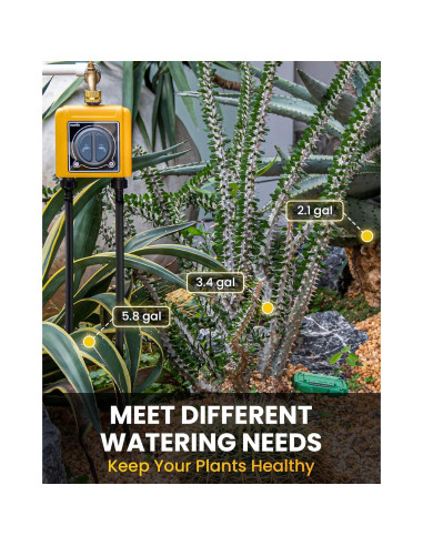 Temporizador de Riego RAINPOINT WiFi 2 Zonas Control Voz