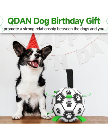 QDAN Balón de Fútbol para Perros Mediano 15 cm Interactivo