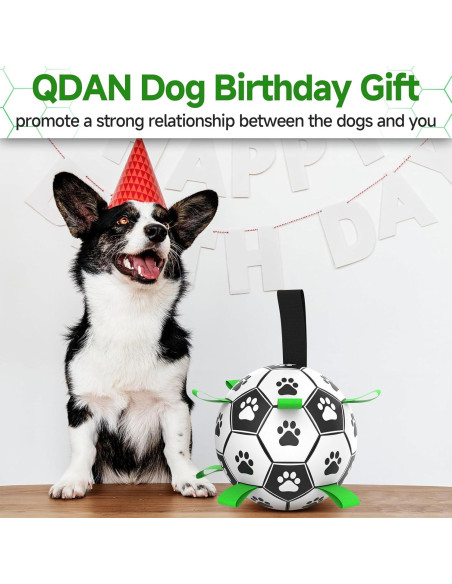 QDAN Balón de Fútbol para Perros Mediano 15 cm Interactivo