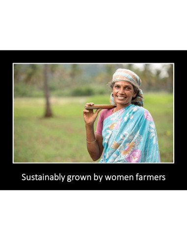 Aceite de Cártamo Orgánico Daana 340 g Prensado en Frío