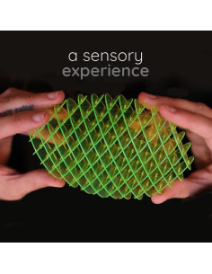 Juguete Morf Fidget Worm Figgy Toys Verde Pequeño 2