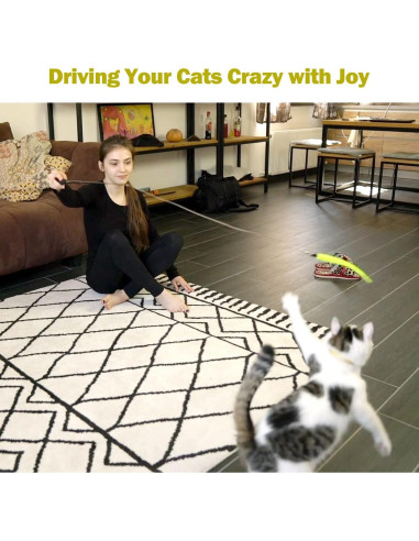 Juguete Interactivo para Gatos MeoHui Varita Telescópica