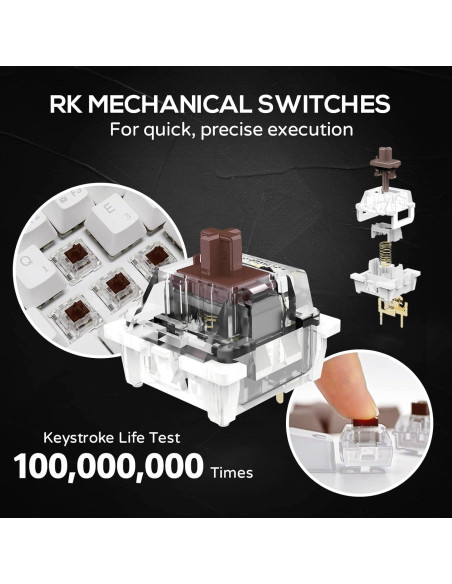 Teclado Mecánico RK ROYAL KLUDGE RK61 60% RGB Inalámbrico