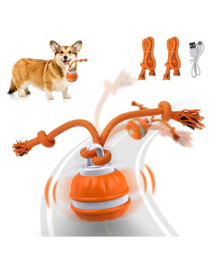 Pelota Interactiva para Perros Salodal P38 Recargable USB