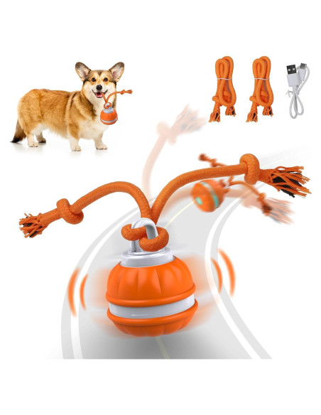 Pelota Interactiva para Perros Salodal P38 Recargable USB