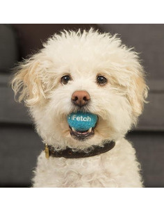 Pelotas de Tenis Mini iFetch para Perros Pequeños, 5 Pzas 2