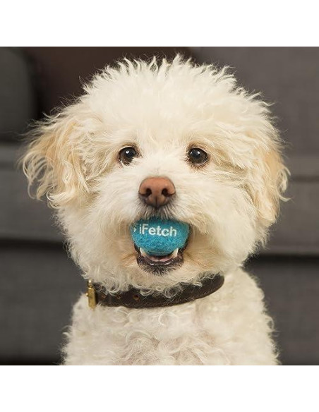 Pelotas de Tenis Mini iFetch para Perros Pequeños, 5 Pzas