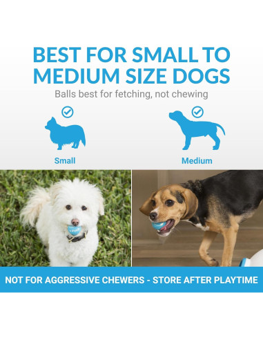 Pelotas de Tenis Mini iFetch para Perros Pequeños, 5 Pzas