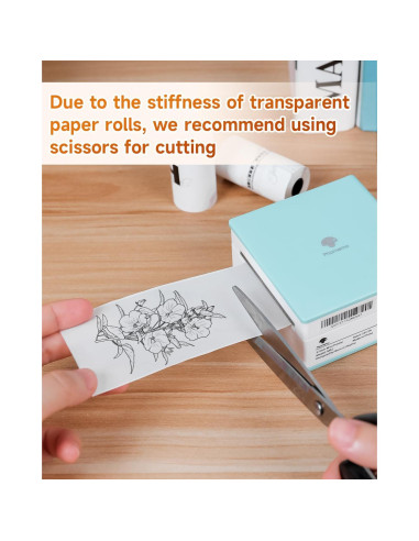 Impresora de Etiquetas Mini Memoqueen M02 Térmica Verde