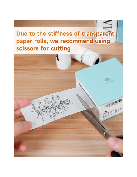 Impresora de Etiquetas Mini Memoqueen M02 Térmica Verde