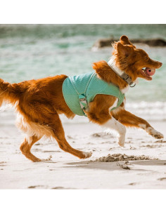 Chaleco Refrigerante Hurtta para Perros 76-86 cm Azul 2