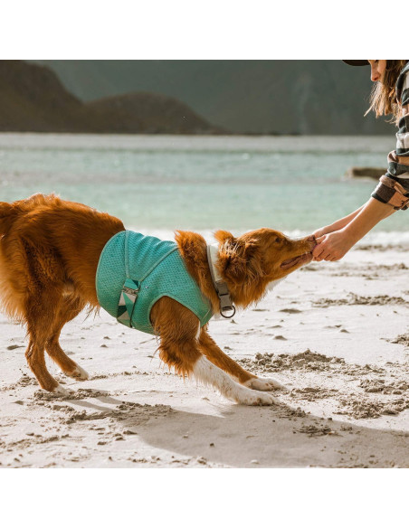 Chaleco Refrigerante Hurtta para Perros 76-86 cm Azul Chaleco Refrigerante Hurtta para Perros 76-86 cm Azul