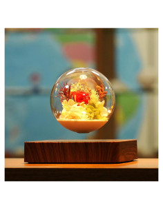 Lámpara de Levitación Magnética HCNT con Rosas Eternas