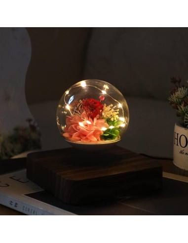 Lámpara de Levitación Magnética HCNT con Rosas Eternas