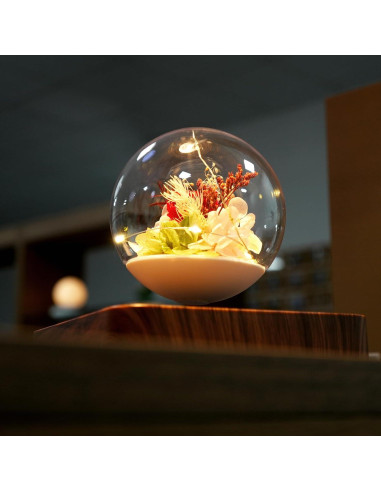 Lámpara de Levitación Magnética HCNT con Rosas Eternas