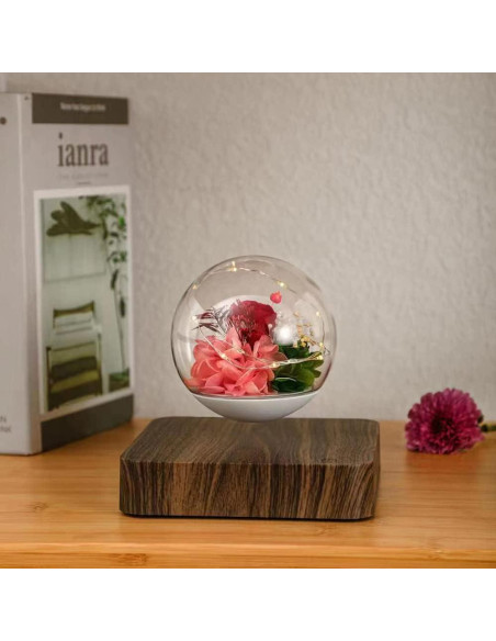 Lámpara de Levitación Magnética HCNT con Rosas Eternas Lámpara de Levitación Magnética HCNT con Rosas Eternas