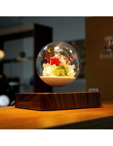 Lámpara de Levitación Magnética HCNT con Rosas Eternas