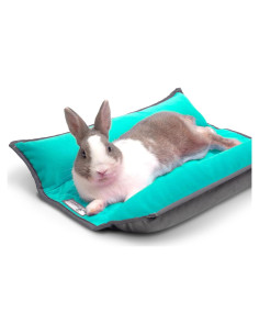 Cama Snuggle Bunny Paw Inspired 43x43cm Gris/Verde