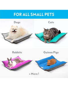 Cama Snuggle Bunny Paw Inspired 43x43cm Gris/Verde 2