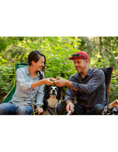 Silla de Campamento Ultraligera Cascade Mountain Tech Verde