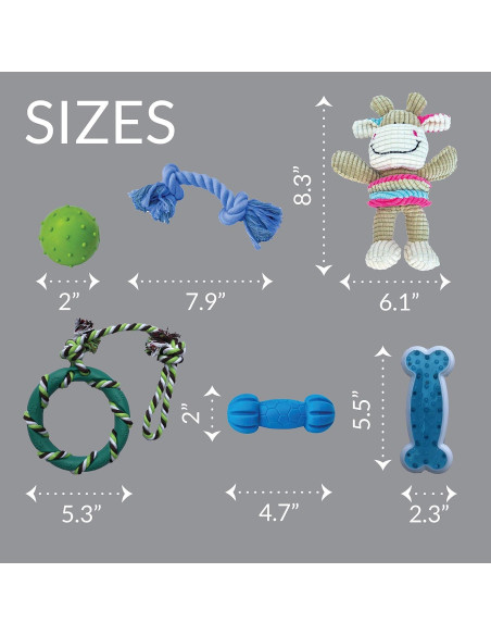 Conjunto de Juguetes para Masticar Perro Birch Brands 6 Piezas