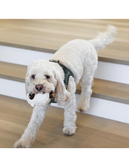 Conjunto de Juguetes para Masticar Perro Birch Brands 6 Piezas